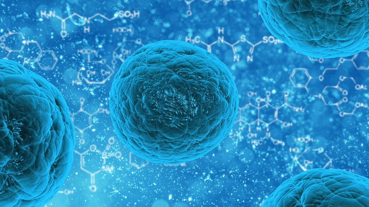 stem-cell-163711_1280