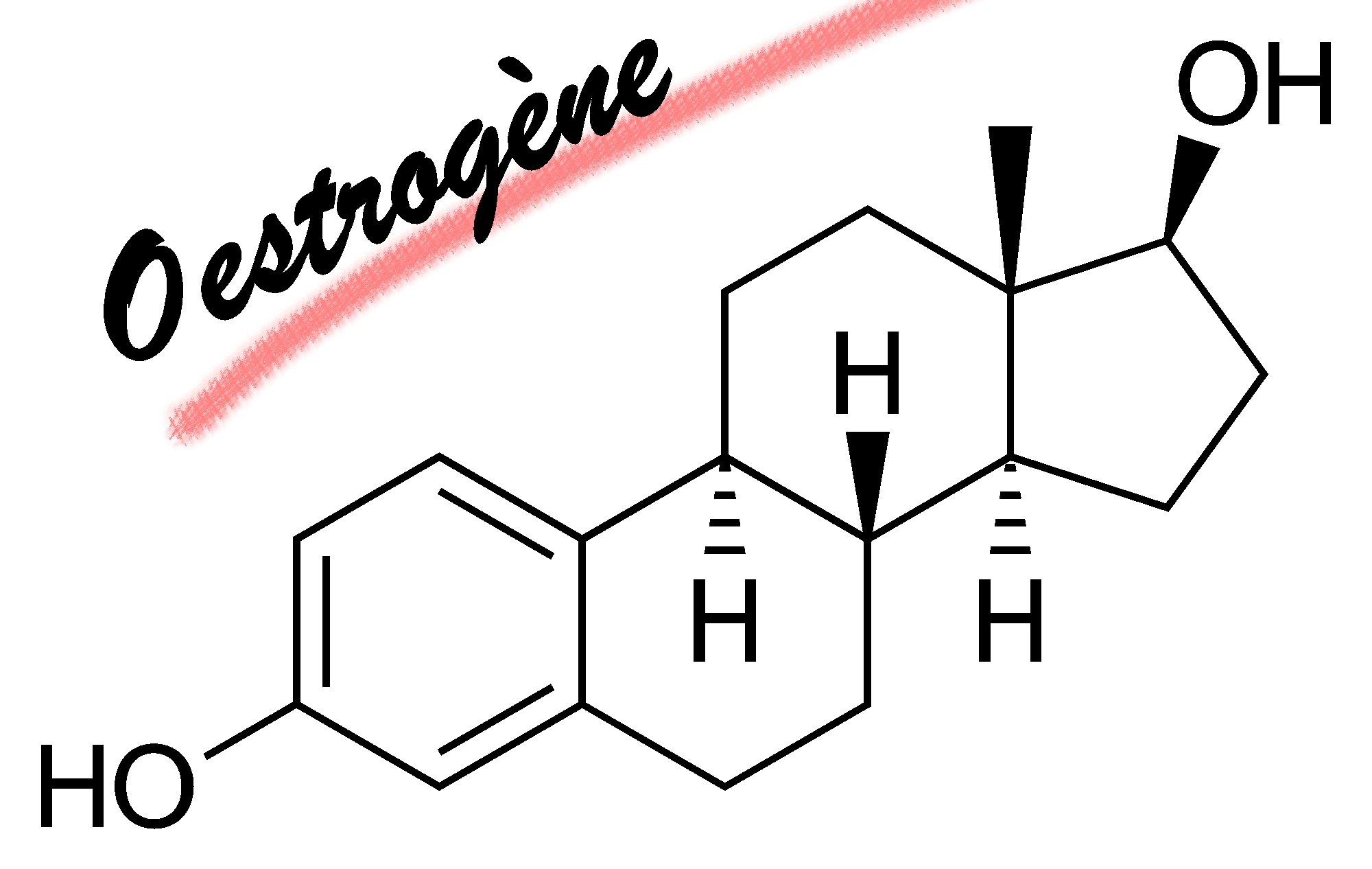 oestrogene